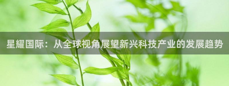 耀世娱乐体育用品：星耀国际：从全球视角展望新兴科技产业的发展趋势