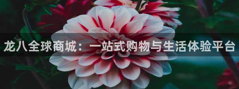 耀世娱乐2平台登录：龙八全球商城：一站式购物与生活体验平台
