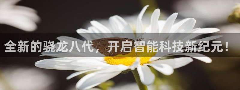 佛山市南海耀世娱乐机电仪器有限公司：全新的骁龙八代，开启智能科技新纪元！