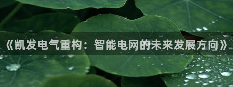 耀世娱乐体育平台登录入口：《凯发电气重构：智能电网的未来发展方向》