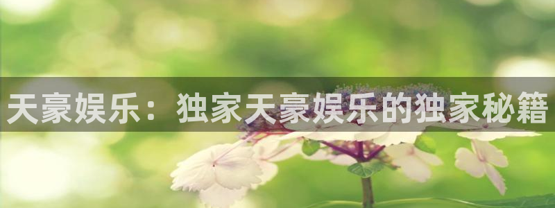 耀世娱乐集团总部：天豪娱乐：独家天豪娱乐的独家秘籍