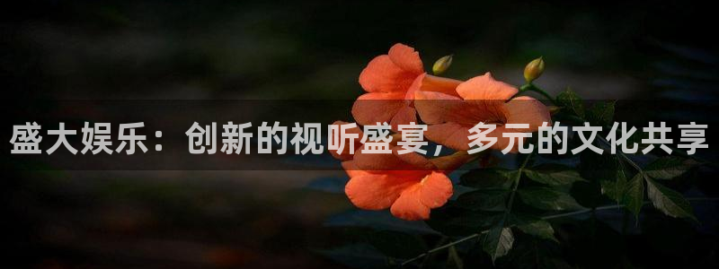 耀世娱乐平台：盛大娱乐：创新的视听盛宴，多元的文化共享