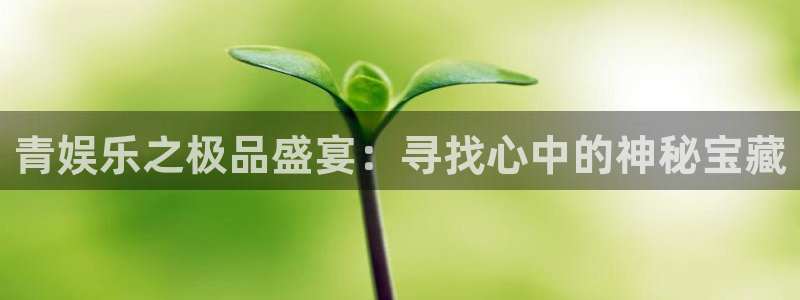 耀世娱乐f凯捷平台在线注册：青娱乐之极品盛宴：寻找心中的神秘宝藏
