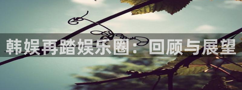 耀世娱乐3登陆：韩娱再踏娱乐圈：回顾与展望