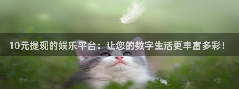 耀世娱乐体育注册：10元提现的娱乐平台：让您的数字生活更丰富多彩！