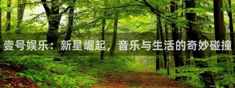 耀世娱乐2平台登录：壹号娱乐：新星崛起，音乐与生活的奇妙碰撞