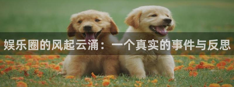 耀世娱乐体育热门赛事有哪些：娱乐圈的风起云涌：一个真实的事件与反思