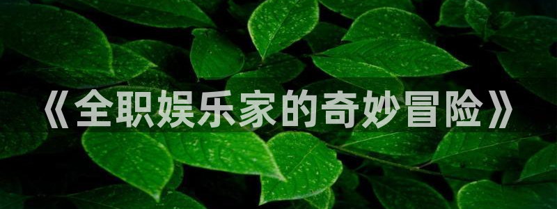 耀世娱乐集团股票：《全职娱乐家的奇妙冒险》