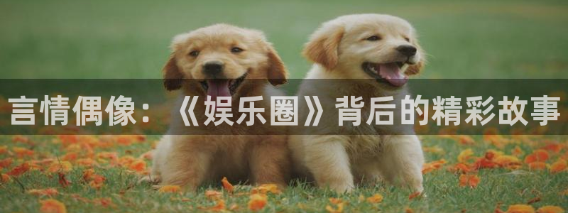耀世娱乐体育：言情偶像：《娱乐圈》背后的精彩故事