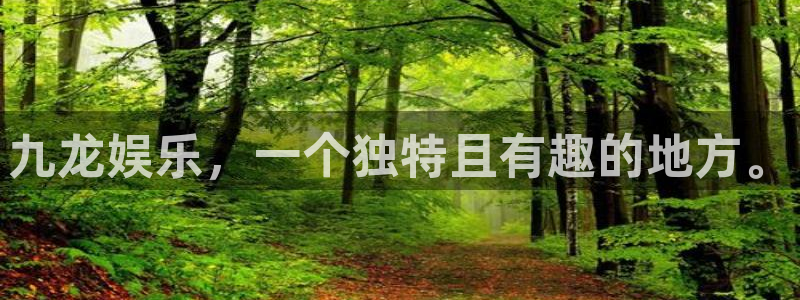 耀世娱乐官网入口：九龙娱乐，一个独特且有趣的地方。