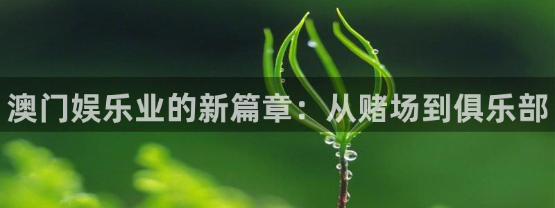 耀世娱乐体育平台注册：澳门娱乐业的新篇章：从赌场到俱乐部