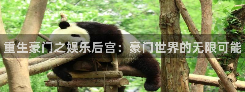 耀世娱乐体育平台登录入口：重生豪门之娱乐后宫：豪门世界的无限可能