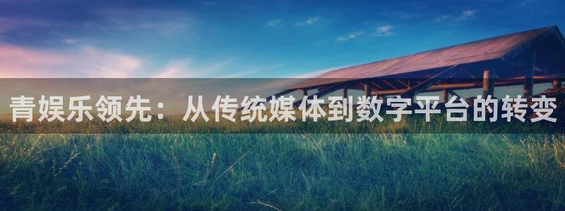 耀世娱乐4代理：青娱乐领先：从传统媒体到数字平台的转变