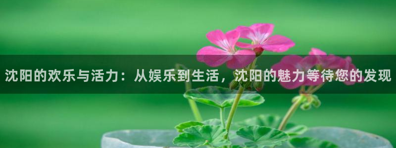 耀世娱乐体育凯捷代理注册：沈阳的欢乐与活力：从娱乐到生活，沈阳的魅力等待您的发现