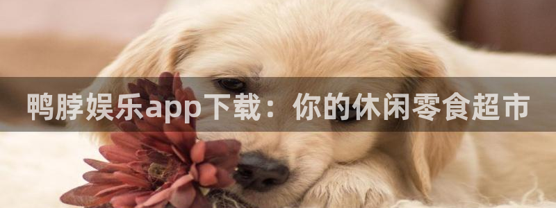 耀世娱乐体育平台登录入口：鸭脖娱乐app下载：你的休闲零食超市