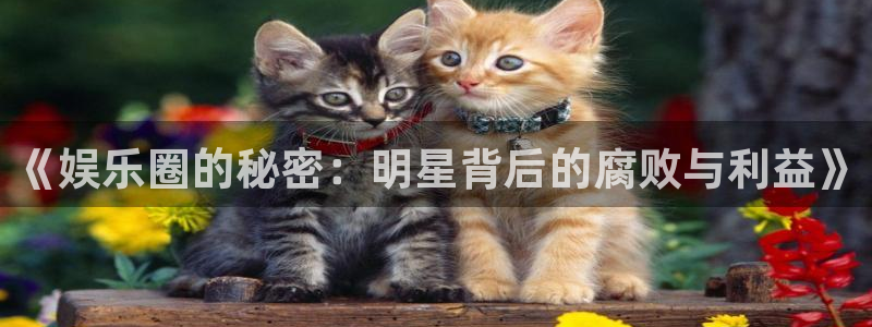 耀世娱乐kgame：《娱乐圈的秘密：明星背后的腐败与利益》
